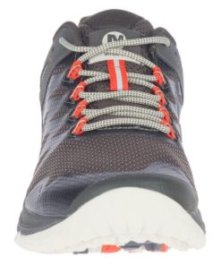 Farreach.shop8d21be51ef 2