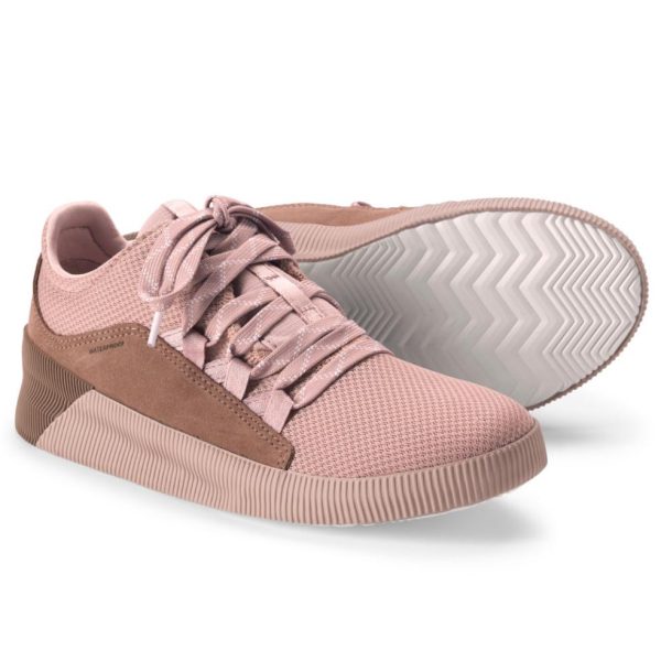 Farreach.shope75b7e317f 1