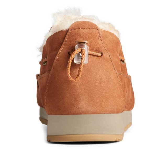 Farreach.shopf727a7a4bd 2