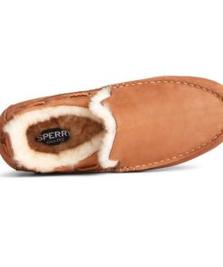 Farreach.shopf727a7a4bd 3