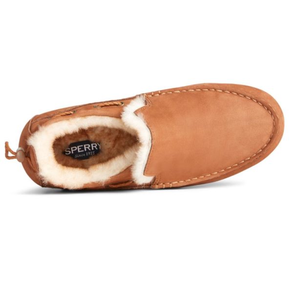 Farreach.shopf727a7a4bd 3